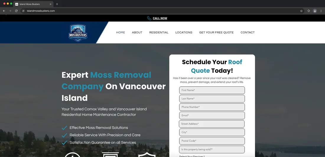Island Moss Busters website before the Ezeey rebuild